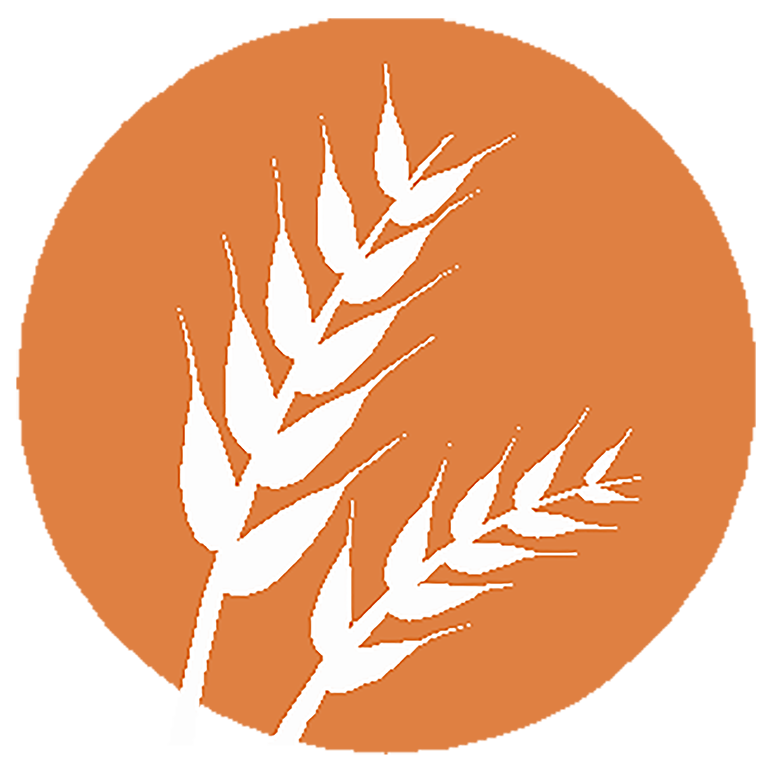 gluten